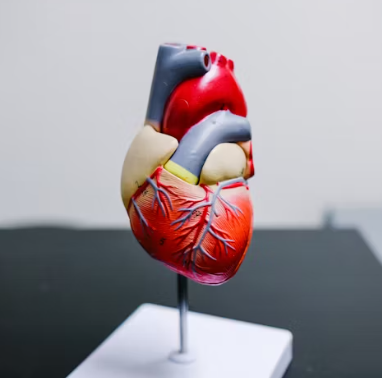 심근경색 전조증상 원인 예방법