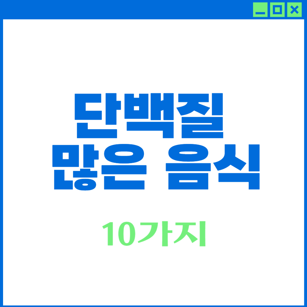단백질 많은 음식