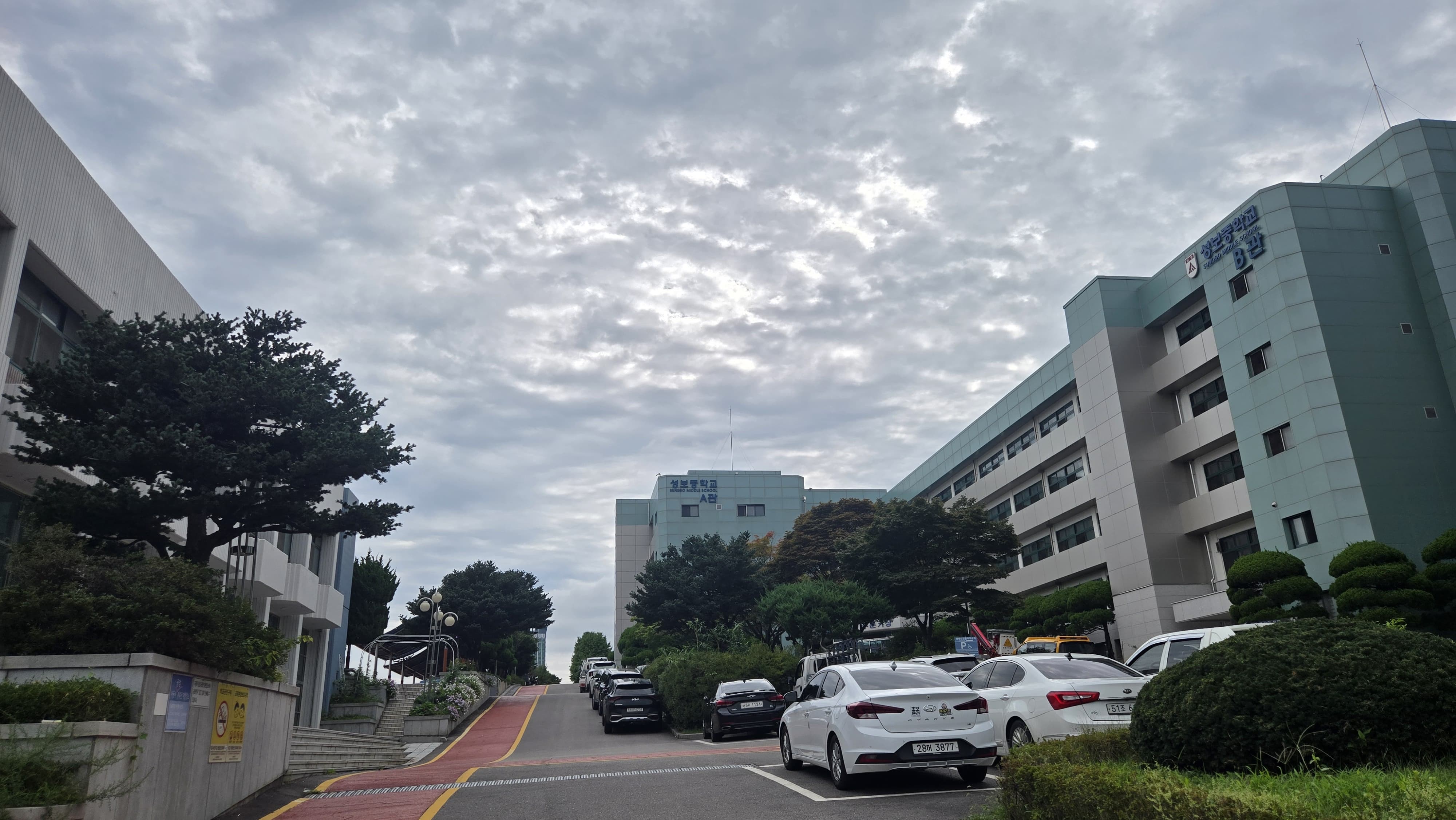 여름은 이겨야 하는 계절이 아니라 잘 지나가면 되는 계절