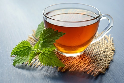 커피 대체할 음료 BEST 7