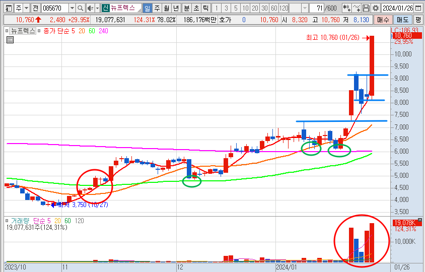 뉴프렉스 주가 일봉 차트 분석 및 전망 (24.1.26)