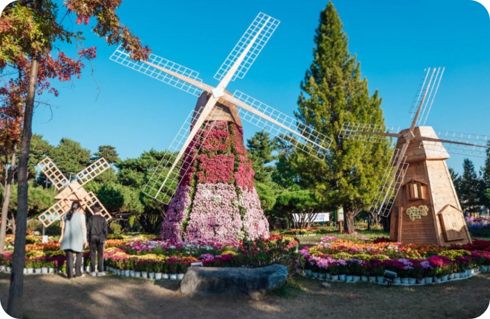 유성국화축제 일정부터 주차장 족욕체험까지! 2025 완벽 가이드