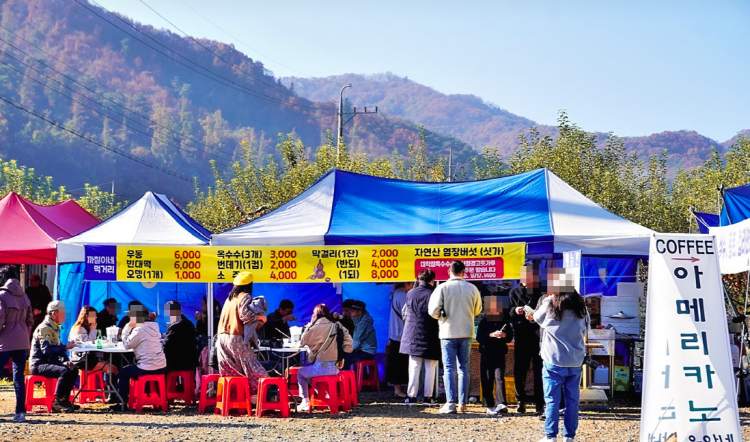 괴산 문광저수지 은행나무길