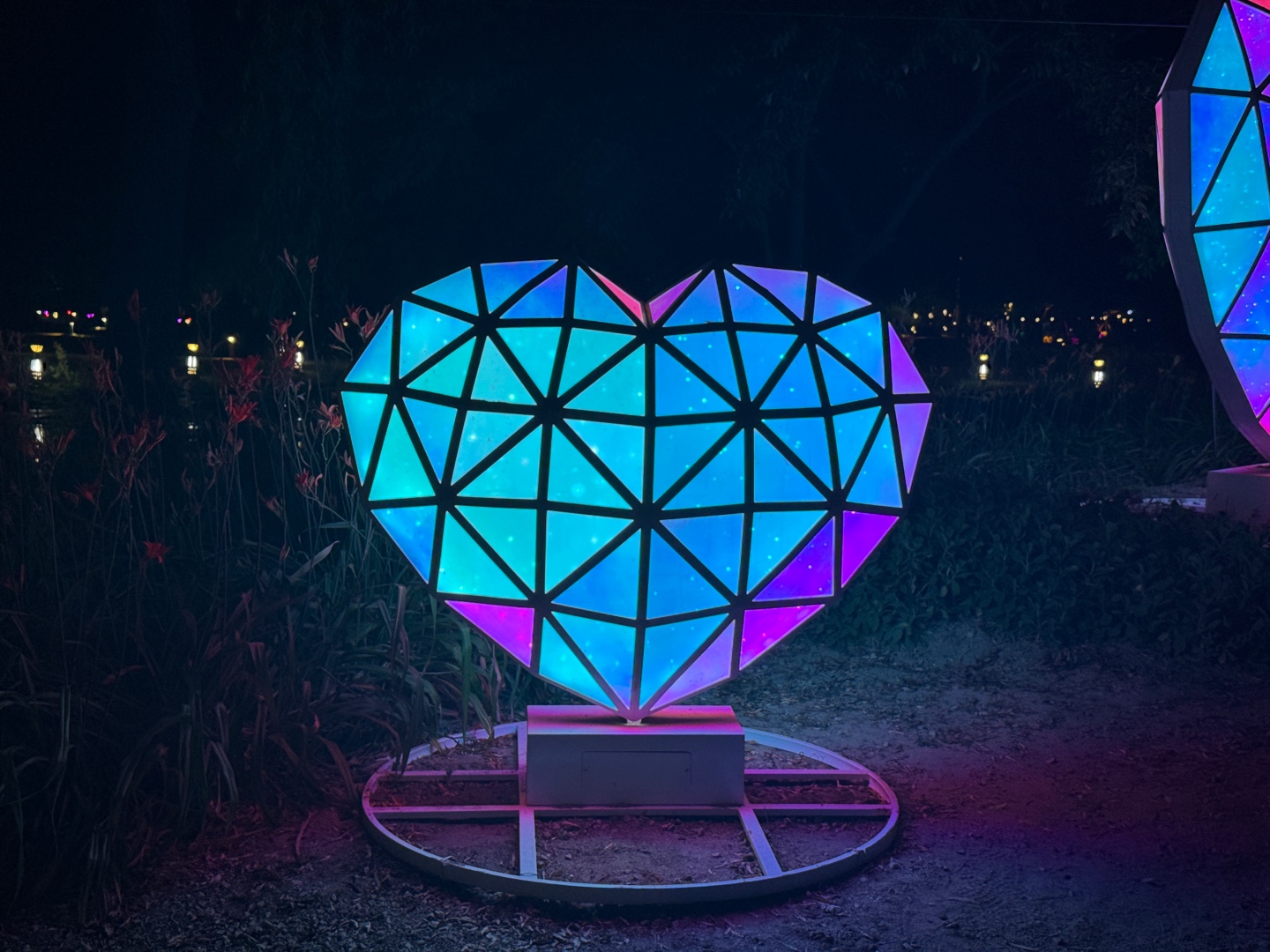 궁남지 연꽃 야경