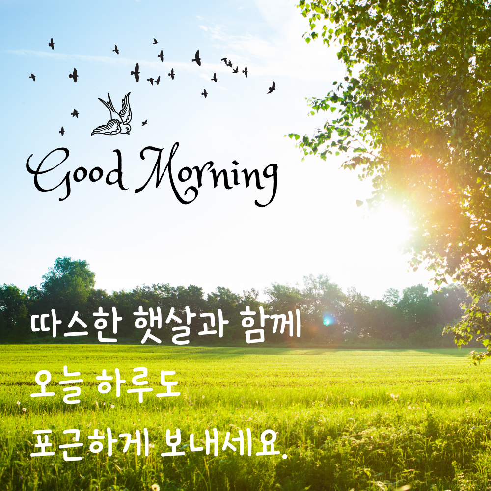 기분 좋은 아침 인사말