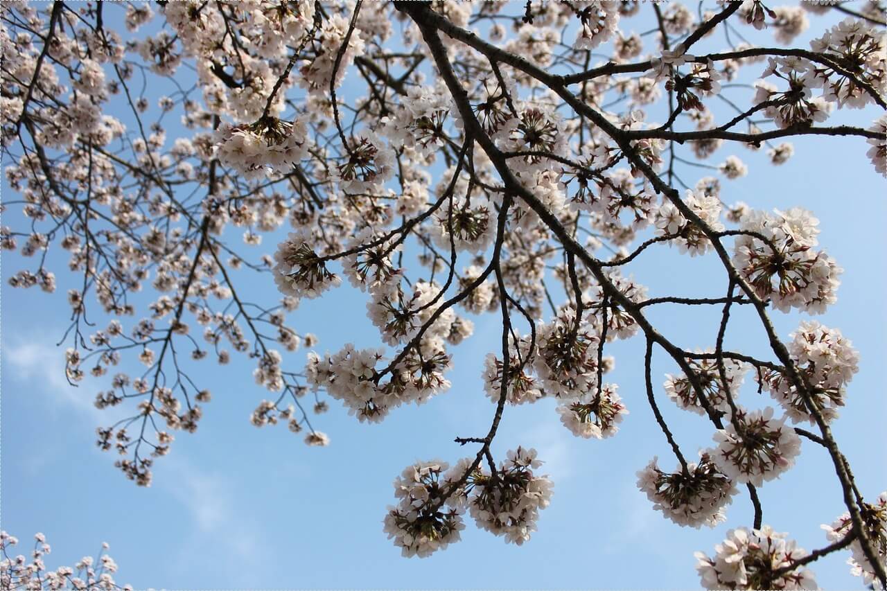 저축은행 정기예금 금리비교