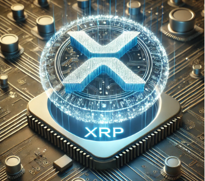 엑스파일 이미지