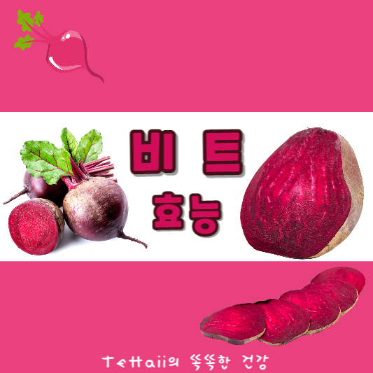 비트효능대표이미지