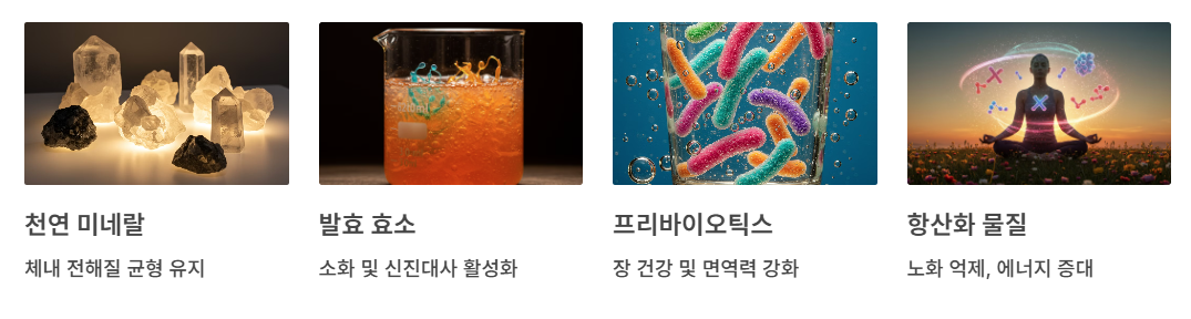 다이어트에 도움 주는 영양소와 성분