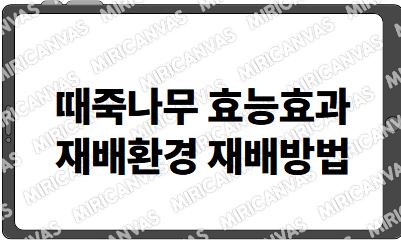 때죽나무 효능효과 재배환경 재배방법