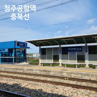 청주공항 국제선 노선 운항정보 취항지 스케줄_9