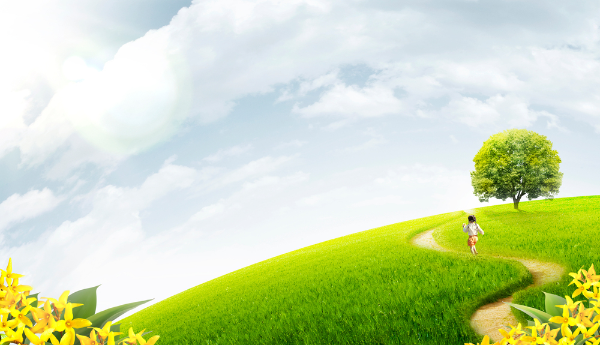 수목생리학의 연구 역사와 응용 분야