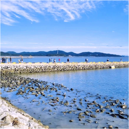 홍성-남항당-새조개-축제