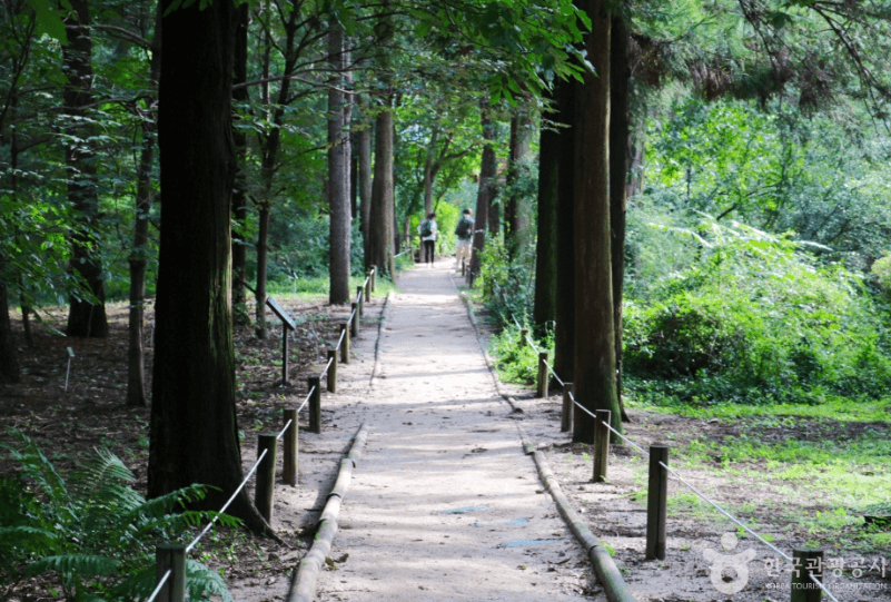 5. 홍릉 수목원