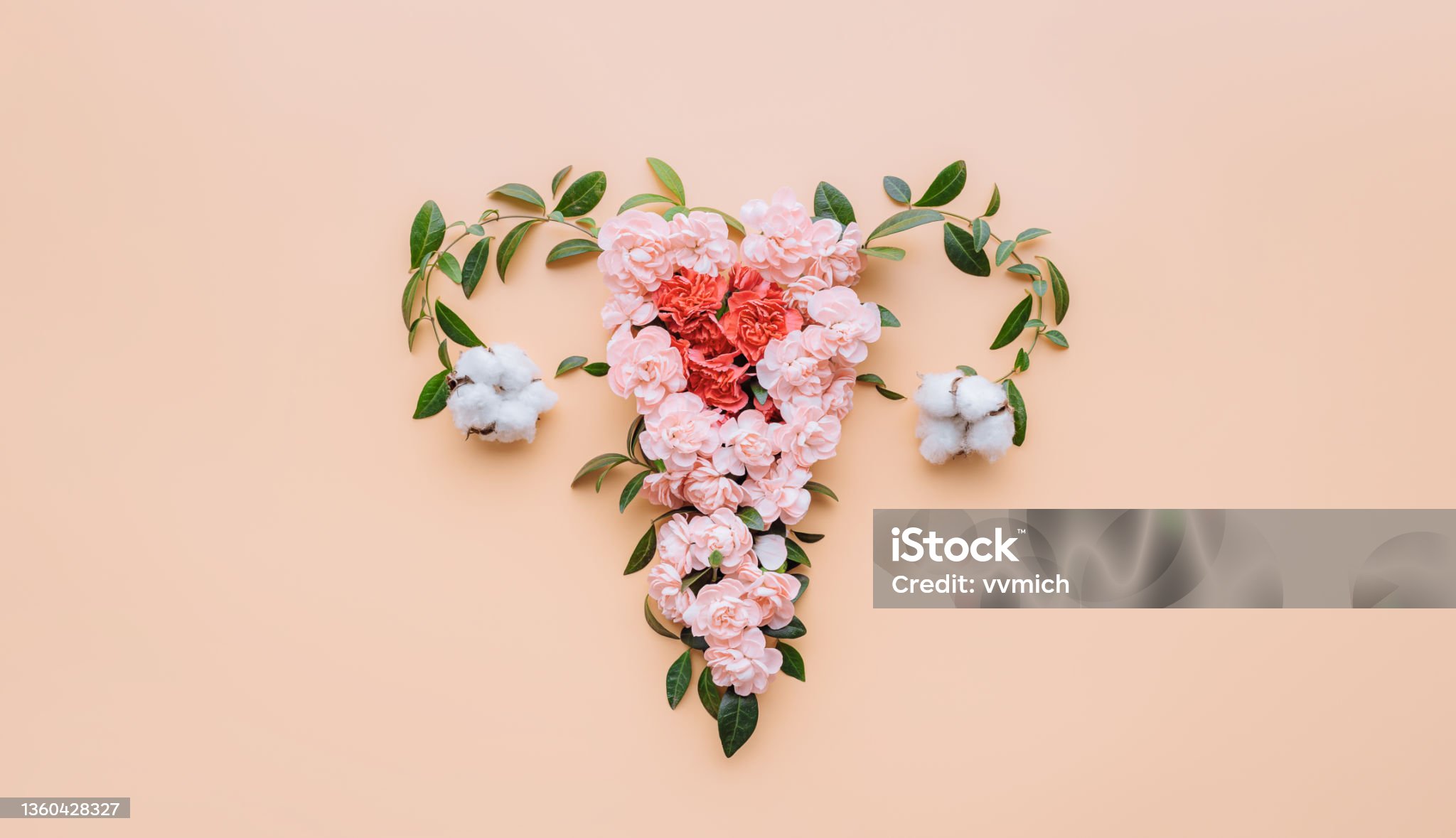 자궁경부암-관련-사진