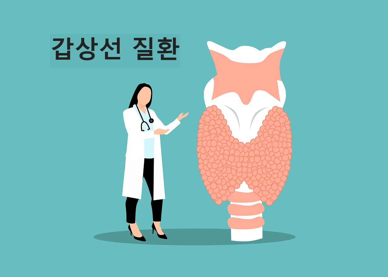 갑상선 질환