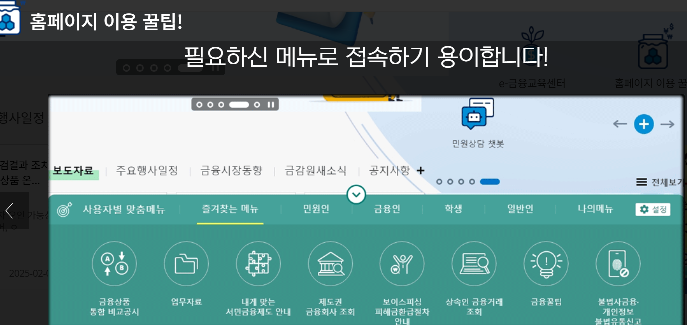 금융감독원 홈페이지 이용안내(출처-홈페이지)