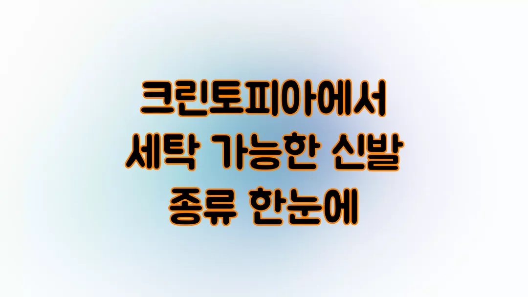 크린토피아에서 세탁 가능한 신발 종류 한눈에