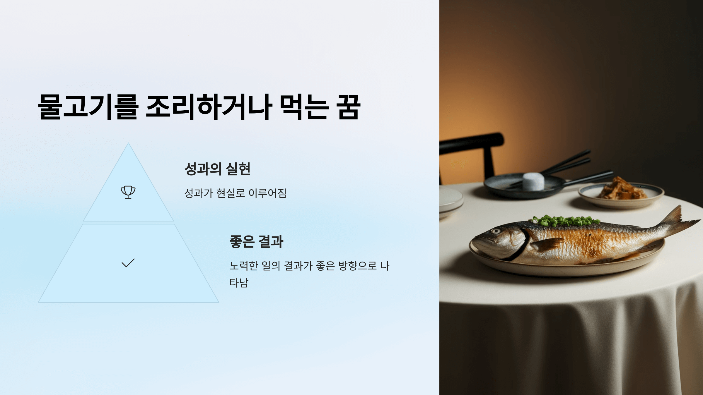 물고기 사진입니다.