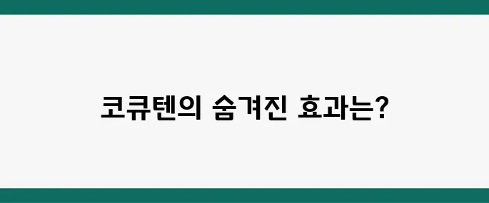 코큐텐(CoQ10) 효능 추천 혈압 강하, 피로 감소, 피부 회복, 염증 감소