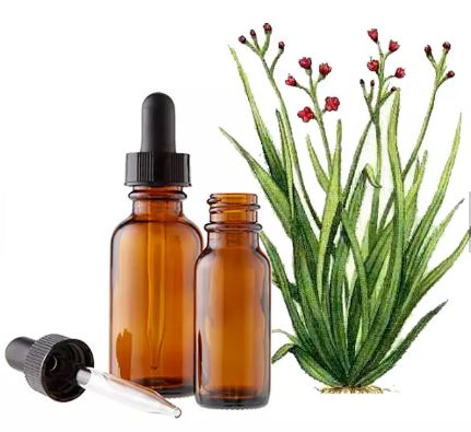 팔마로사 에센셜오일