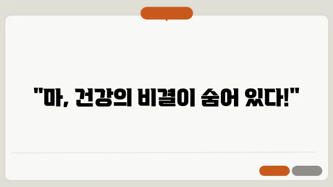 마의효능
