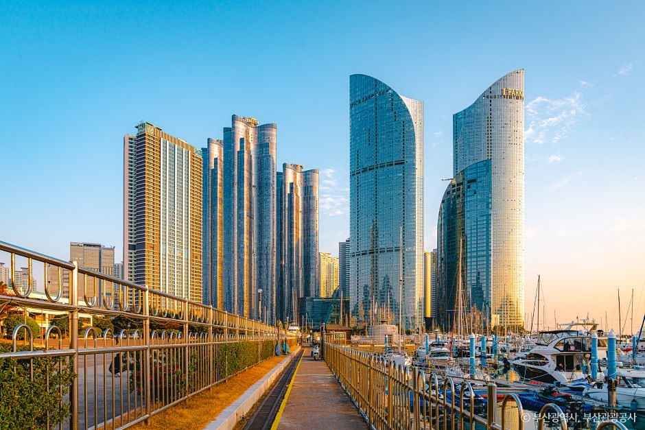 수영만 요트경기장