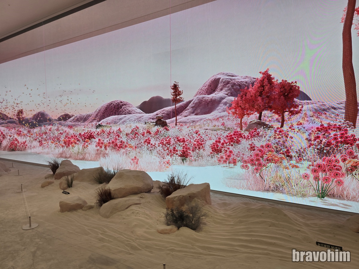 르스페이스 사막