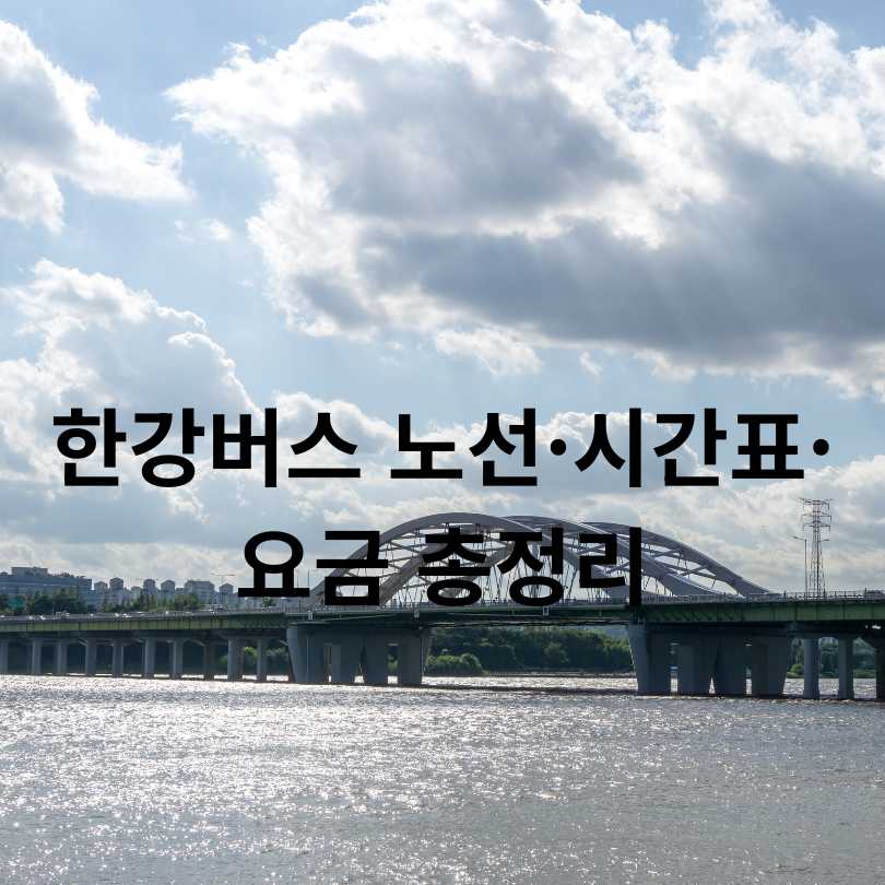 한강버스 노선·시간표·요금 총정리