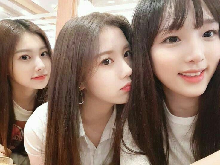 아이즈원 프로듀스48 사진 모음 아이즈원 프로듀스48 사진 모음