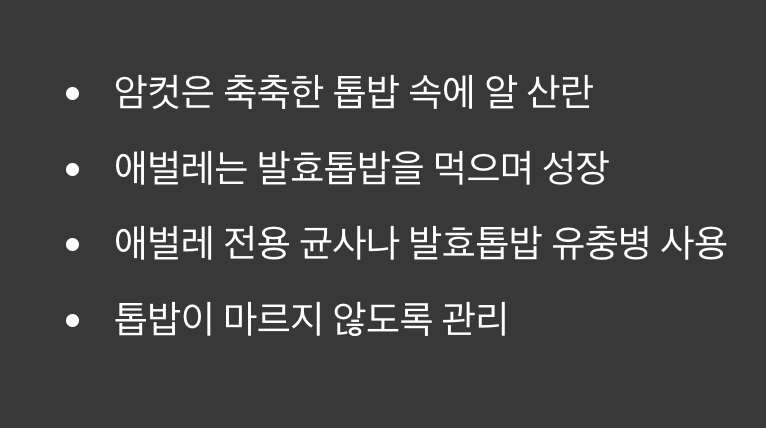 2세의 탄생, '산란'과 '애벌레' 관리