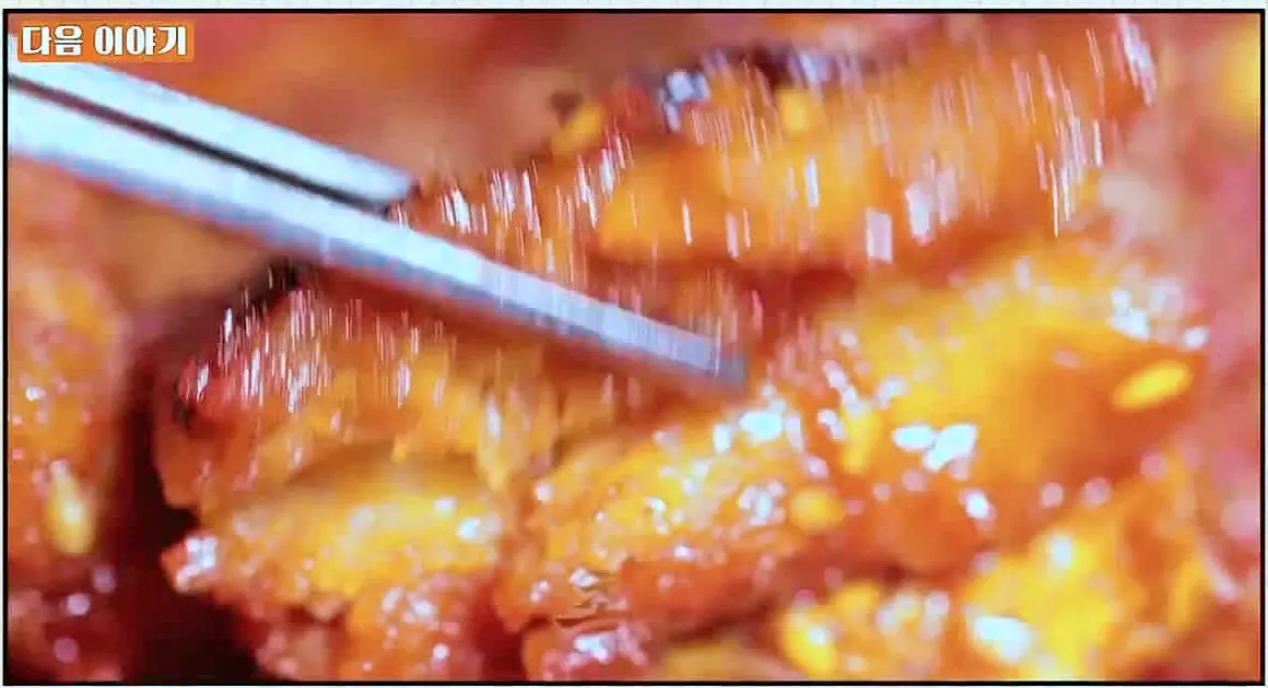 식객 허영만 백반기행 159회 류시원 편 더덕구이, 황태구이, 황태 해장국 맛있는 식당 강원도 속초 맛집 소개