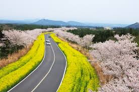 4월 제주도 가볼만한 곳 10곳