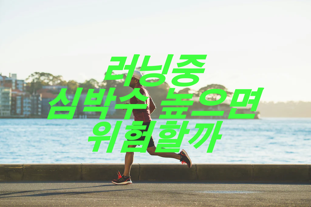 러닝중 심박수 높으면 위험할까?