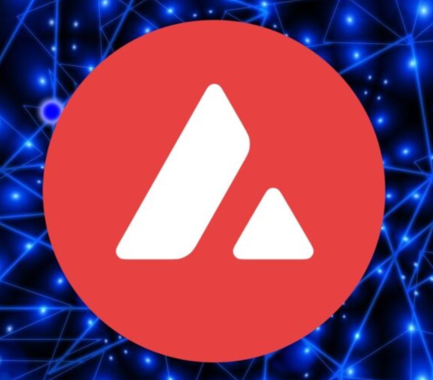 아발란체 서브넷, 차세대 멀티체인 혁신의 중심