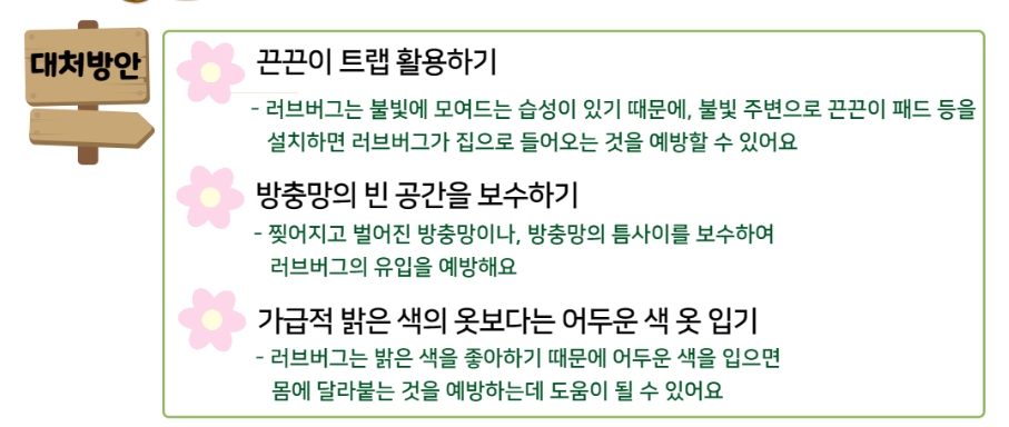 러브버그 출몰 대처방법