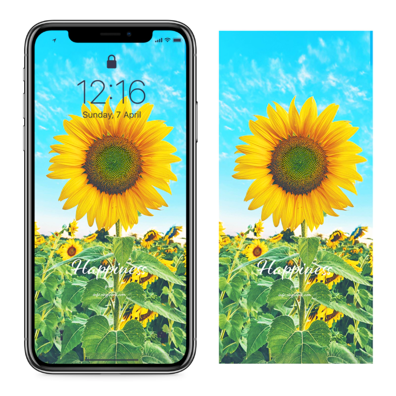 03 해바라기 하늘배경 C - Happiness 돈들어오는배경화면