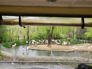 에버랜드 스마트줄서기