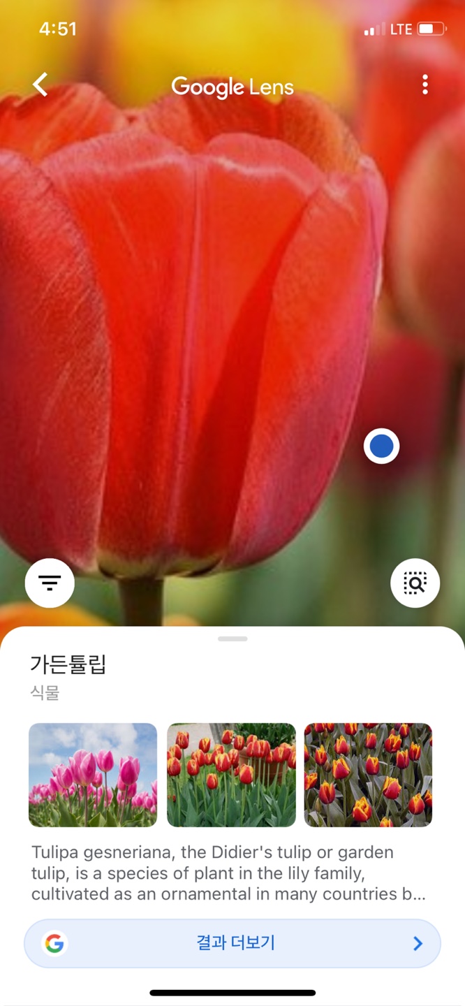 네이버 앱