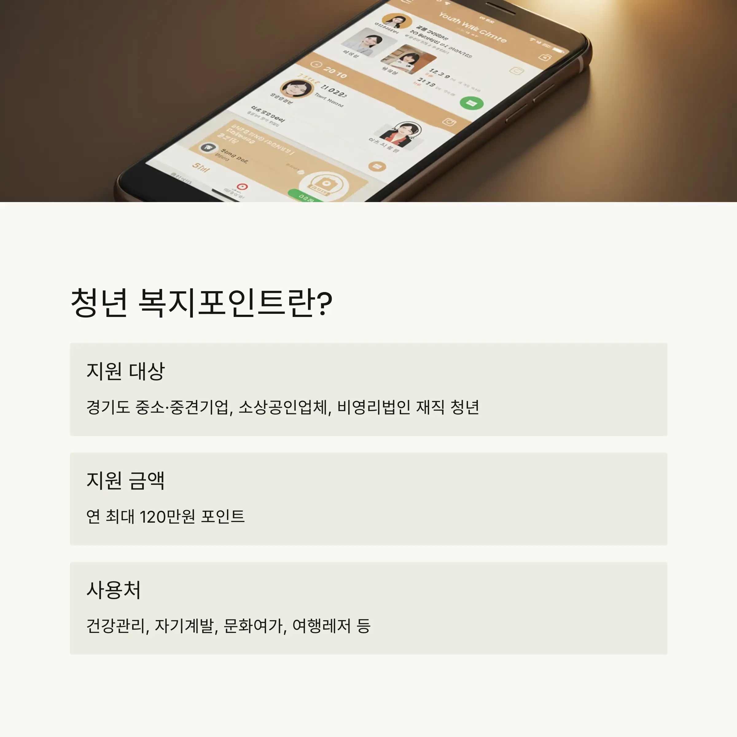 🔍 청년 복지포인트란?