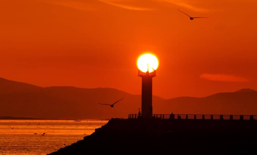 서천-마량진항-해맞이-축제