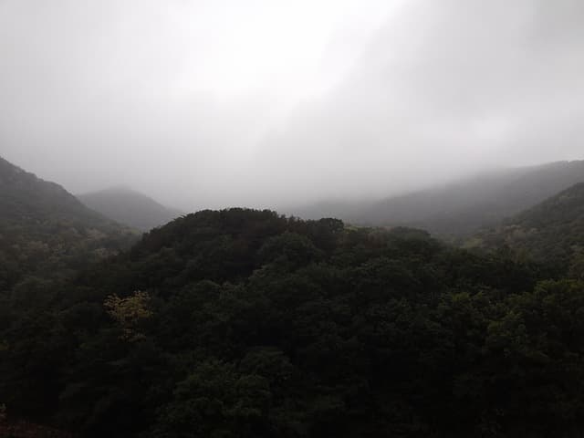 공범 간 자백의 상호 증거능력 인정 기준