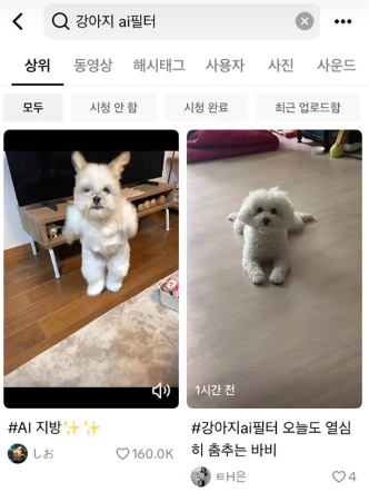강아지 AI 춤 무료 필터 틱톡에서 유행 짤 만드는 초간단 방법 꿀팁 1