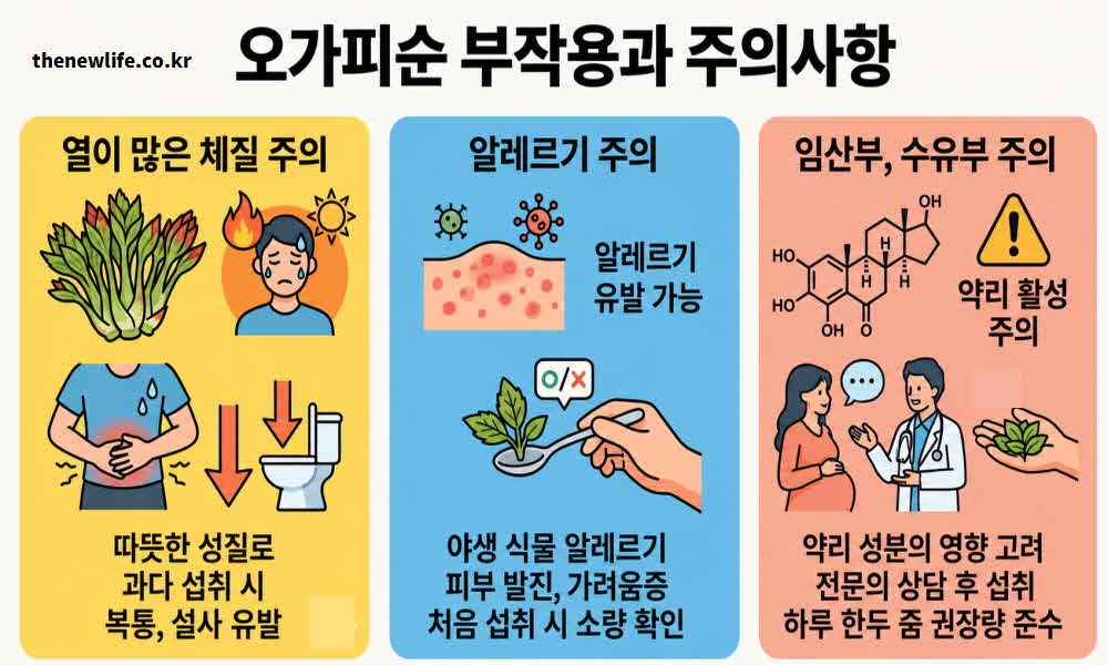 오가피순 효능 부작용