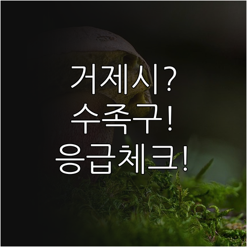 거제시 수족구 치료 가능한 소아과와 ..