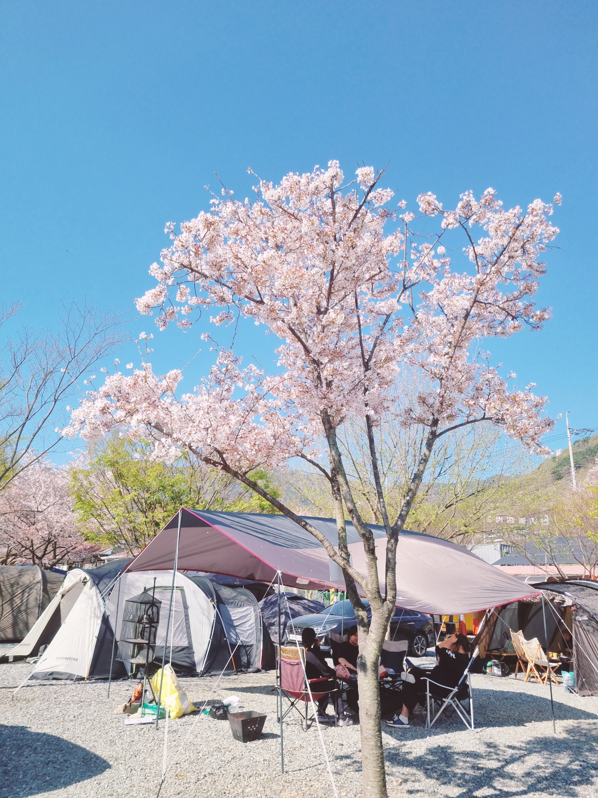 밀양 산여울 캠핑장