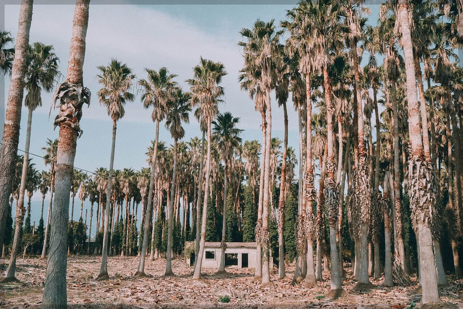 제주 올레길 6코스, 해변과 빗소리가 어우러진 완벽한 산책, 맛집과 지도