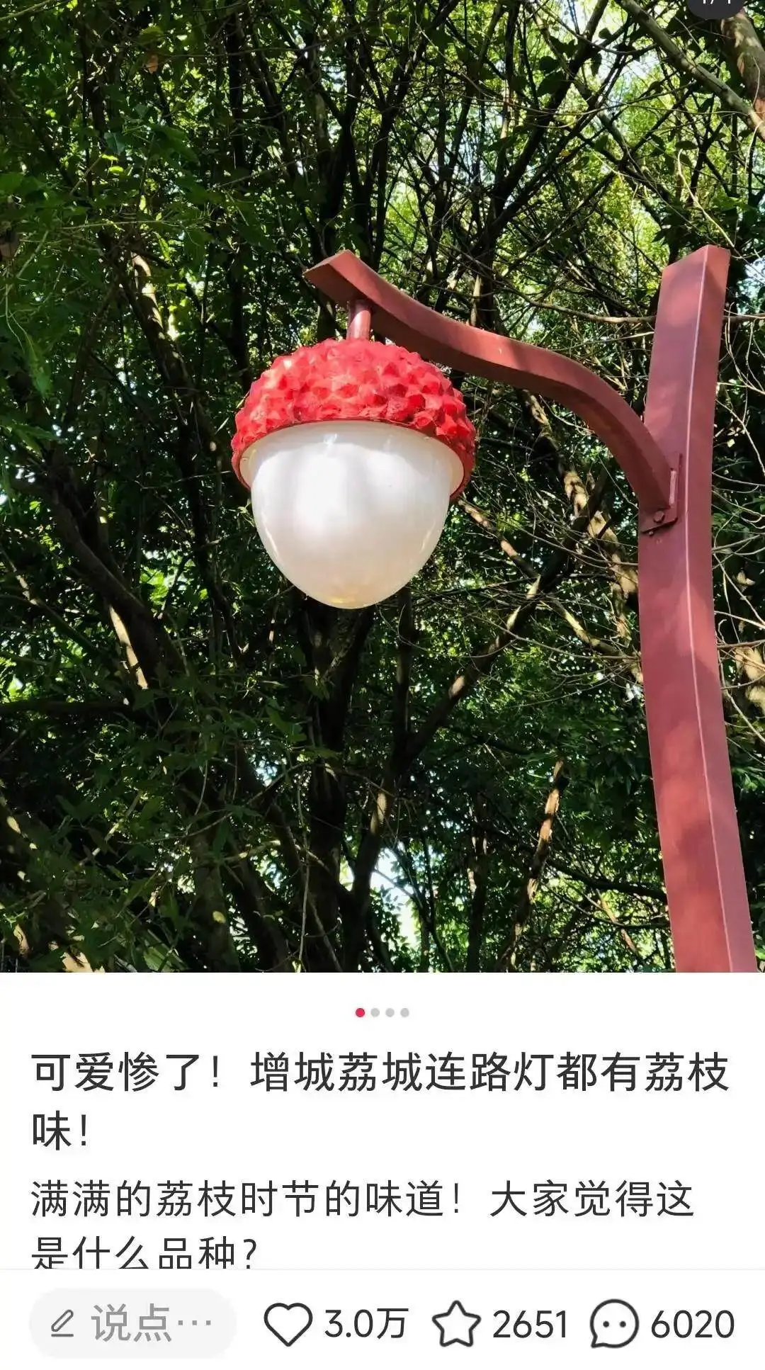 리치 과일 가로등