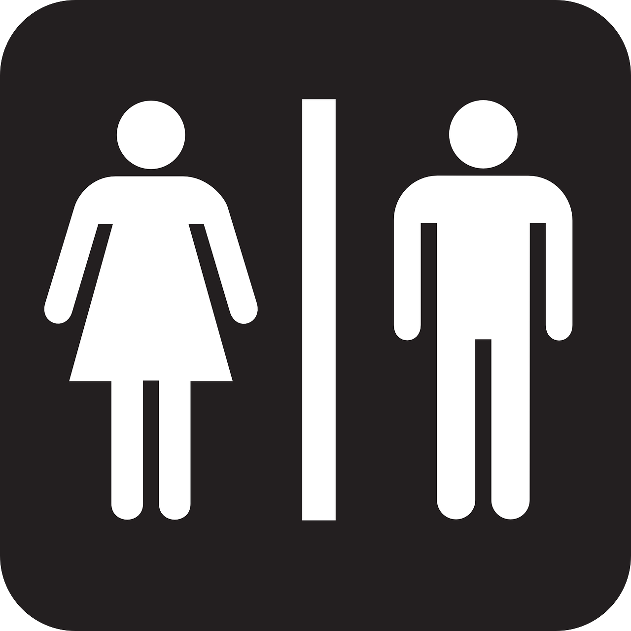 배뇨 장애 (Urinary Incontinence)