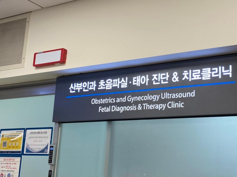 세브란스입체초음파